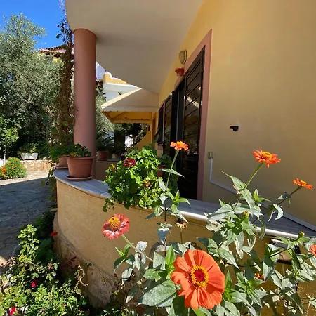 Zak's Maison d'hôtes *